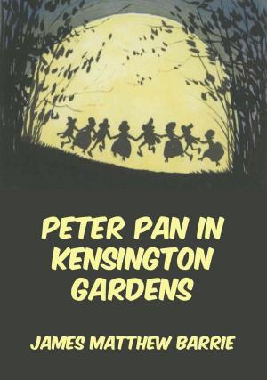 Book cover of Peter Pan In Kensington Gardens