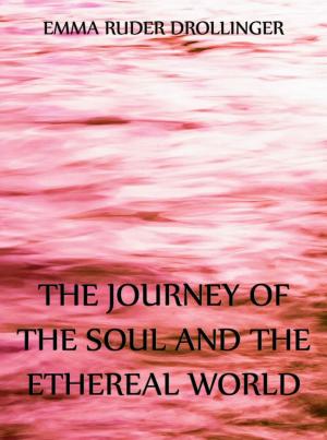 Cover of the book The Journey of the Soul and the Ethereal World by Warren Hilton