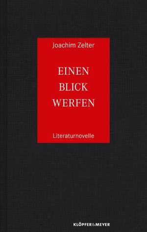 Cover of the book Einen Blick werfen by Elisabeth Pfister