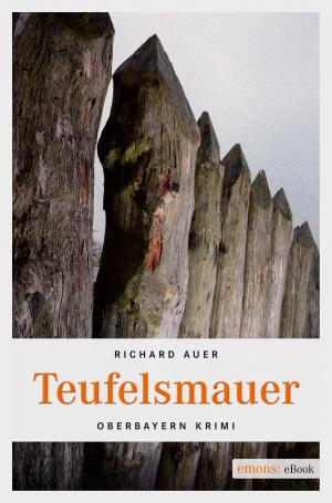 Cover of the book Teufelsmauer by Petra Reategui