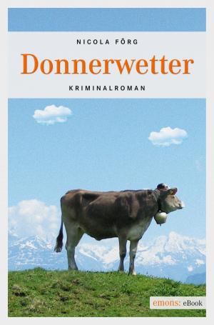 Cover of the book Donnerwetter by Rudolf Jagusch