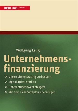 Cover of the book Unternehmensfinanzierung by Raphael Fellmer