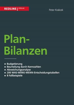 Cover of Planbilanzen