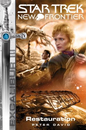 Cover of the book Star Trek - New Frontier 09: Excalibur - Restauration by Christian Humberg, Andrea Bottlinger