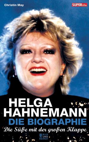 Cover of the book Helga Hahnemann by Daniel Bergner