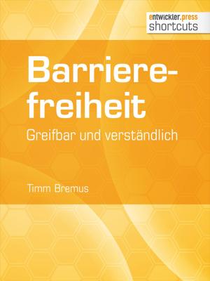 Cover of the book Barrierefreiheit - greifbar und verständlich by Dr. Veikko Krypzcyk, Olena Bochkor