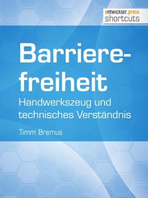 Cover of the book Barrierefreiheit - Handwerkszeug und technisches Verständnis by Jochen Mader, Michael Lex, Dr. Daniel Pape, Matthias Niehoff