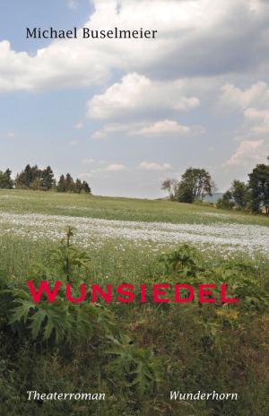 bigCover of the book Wunsiedel by 