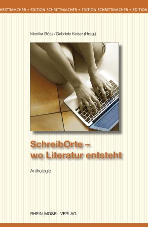 Book cover of Schreiborte