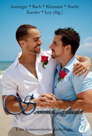 Cover of the book Sommergayflüster by Cassidy Starr