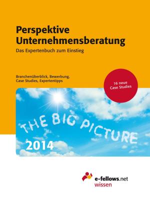 Cover of Perspektive Unternehmensberatung 2014