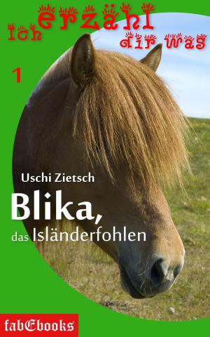 Book cover of Ich erzähl dir was 1: Blika, das Isländerfohlen