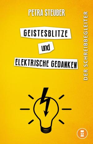 Cover of Geistesblitze und elektrische Gedanken