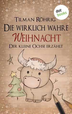 Cover of the book Die wirklich wahre Weihnacht by Megan MacFadden