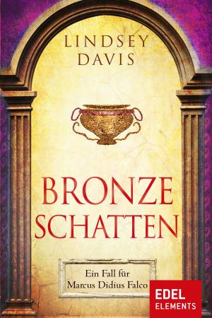 Cover of the book Bronzeschatten by Patricia Alge