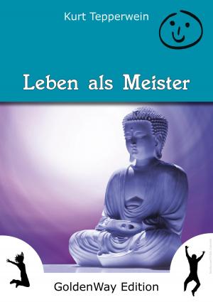 Cover of the book Leben als Meister by Kurt Tepperwein