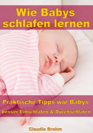 Book cover of Wie Babys schlafen lernen – Praktische Tipps wie Babys besser Einschlafen & Durchschlafen