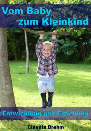 Book cover of Vom Baby zum Kleinkind – Entwicklung und Erziehung