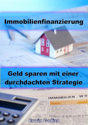 Cover of the book Immobilienfinanzierung – Geld sparen mit einer durchdachten Strategie by Dr. Claudia Berger