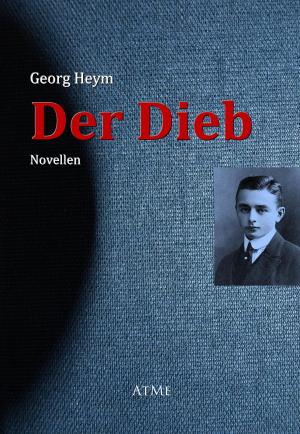 Book cover of Der Dieb