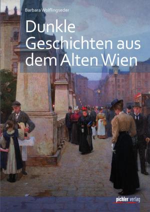 Book cover of Dunkle Geschichten aus dem alten Wien