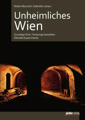 Book cover of Unheimliches Wien