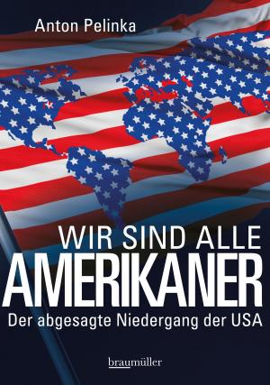 Book cover of Wir sind alle Amerikaner