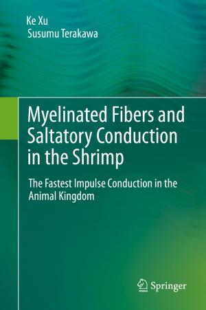 Cover of the book Myelinated Fibers and Saltatory Conduction in the Shrimp by Hiroshi Iwata, Kunio Shimada