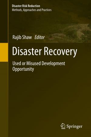 Cover of the book Disaster Recovery by H. Takahashi