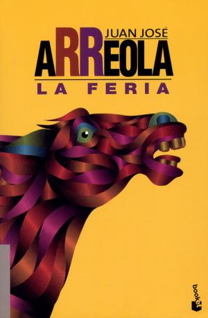 Cover of the book La feria by María Frisa