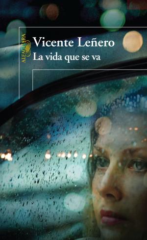 Cover of the book La vida que se va by Víctor Solís