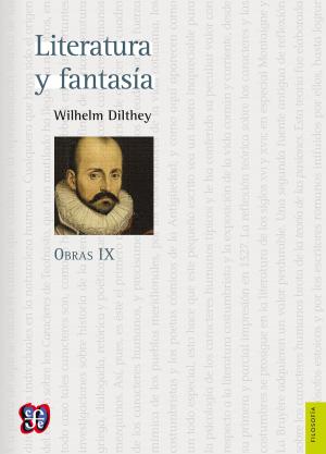 bigCover of the book Obras IX. Literatura y fantasía by 