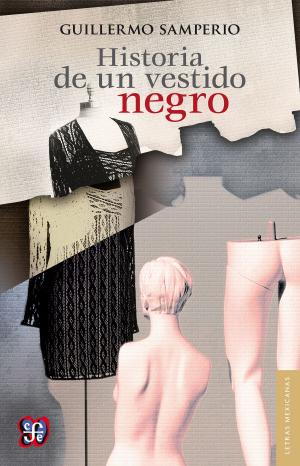 Cover of the book Historia de un vestido negro by Franco Moretti, Lilia Mosconi