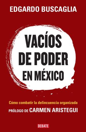 Book cover of Vacíos de poder en México