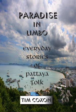 Cover of the book Paradise in Limbo by Wann Fanwar