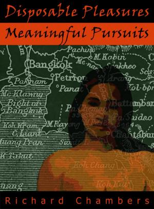 Cover of the book Disposable Pleasures - Meaningful Pursuits by Micky Vann