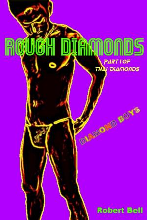 Cover of the book Rough Diamonds by Rei Kimura