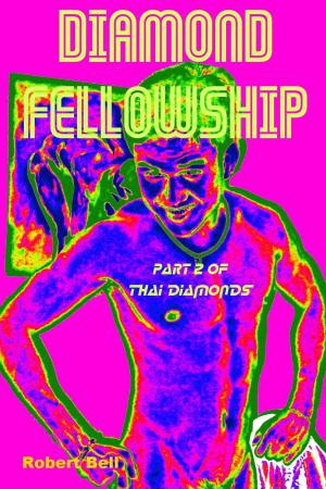 Cover of the book Diamond Fellowship by Sarah Holland