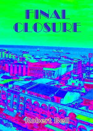 Cover of the book Final Closure by Gaby Crumb