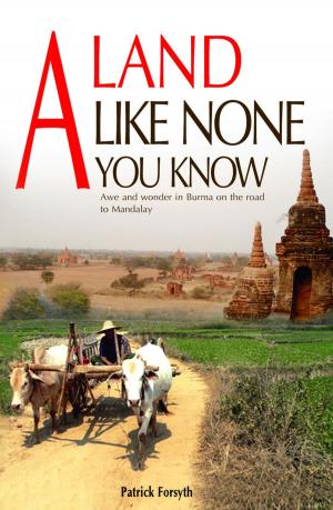 Book cover of A Land Like None You Know