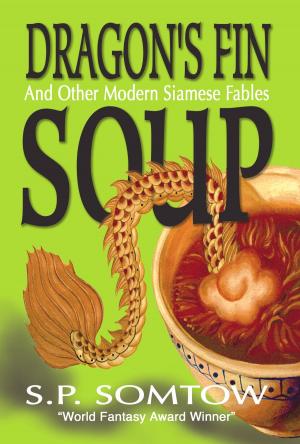 Cover of the book Dragon's Fin Soup by Peter Halder