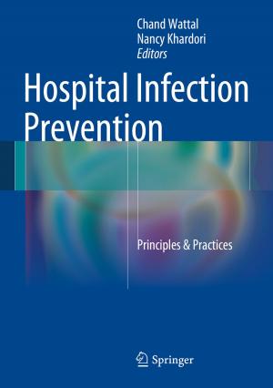 Cover of the book Hospital Infection Prevention by Jay Ameratunga, Nagaratnam Sivakugan, Braja M. Das