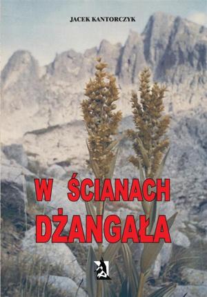 Cover of the book W ścianach Dżangała by Ginter Lopez