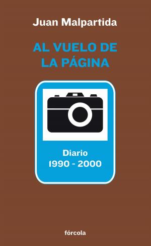 Cover of the book Al vuelo de la página by Javier Cacho