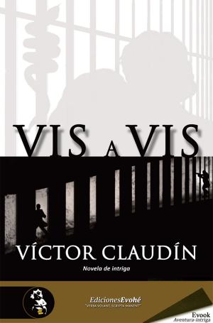 Cover of the book Vis a vis by Víctor Claudín