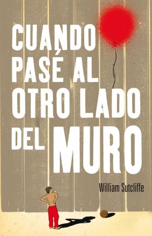 Cover of the book Cuando pasé al otro lado del muro by David Baldacci