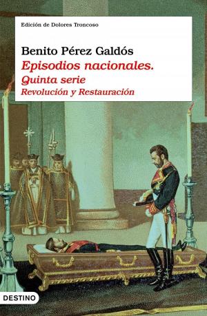 Cover of the book Episodios nacionales. Quinta serie by Moruena Estríngana
