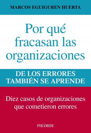 Cover of the book Por qué fracasan las organizaciones by Eduardo José Menéndez Alonso