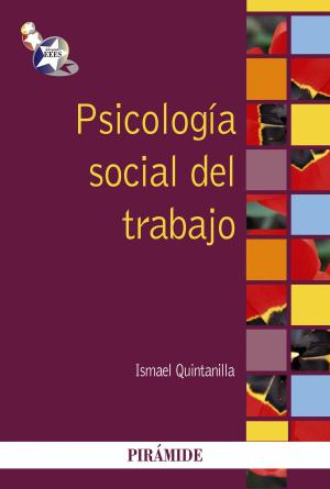 Cover of the book Psicología social del trabajo by Elizabeth Fodor, María del Carmen García-Castellón, Montserrat Morán