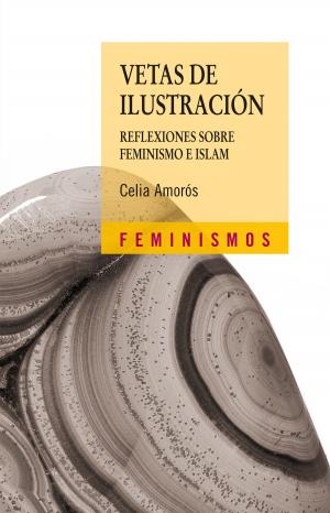 Cover of the book Vetas de Ilustración by Miguel de Cervantes, Adrián J. Sáez